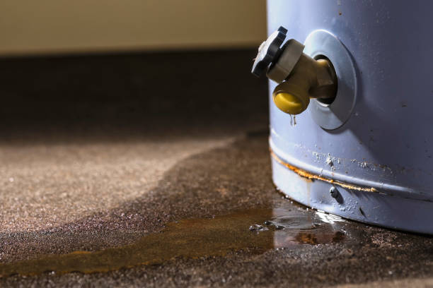Best Flood restoration services  in Cloverleaf, TX