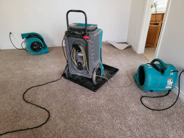 Best Emergency water damage restoration  in Cloverleaf, TX