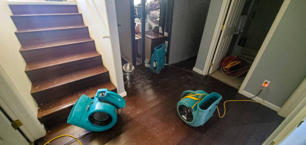 Best Residential water damage restoration  in Cloverleaf, TX