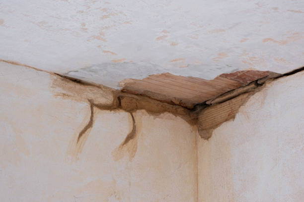 Carpet water damage restoration in Cloverleaf, TX
