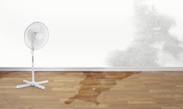 Best Commercial water damage restoration  in Cloverleaf, TX