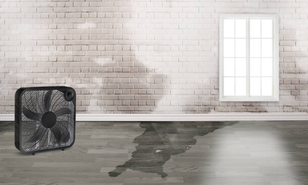 Best 24/7 water damage repair  in Cloverleaf, TX