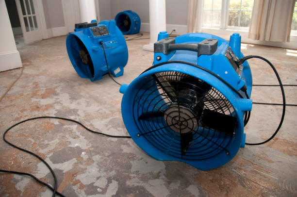 Best Basement water damage restoration  in Cloverleaf, TX