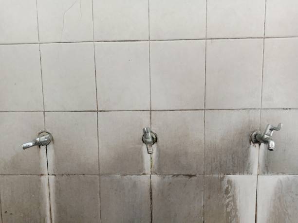 Best Ceiling water damage repair  in Cloverleaf, TX