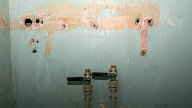Best Local water damage restoration  in Cloverleaf, TX