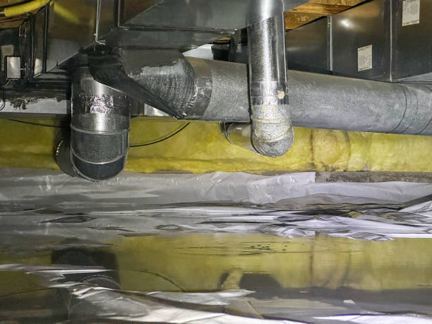 Best Water damage restoration near me  in Cloverleaf, TX