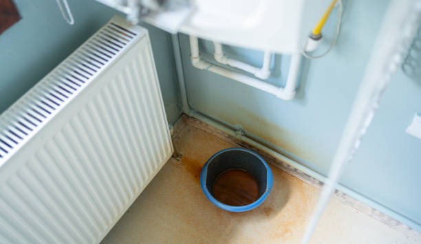 Best Professional water damage repair  in Cloverleaf, TX