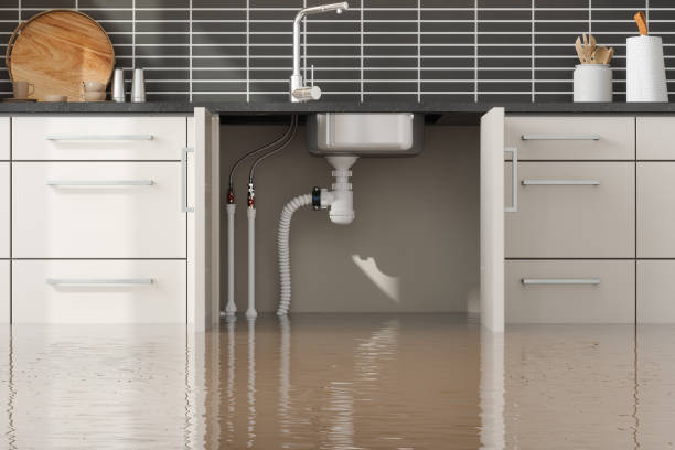 Best Water damage restoration company  in Cloverleaf, TX